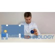 Squeezi - Сенсорний м'ячик для відновлення моторики та ерготерапії