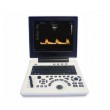 The Dolphi S2 black-and-white ultrasound diagnostic system includes a convex and vaginal sensor