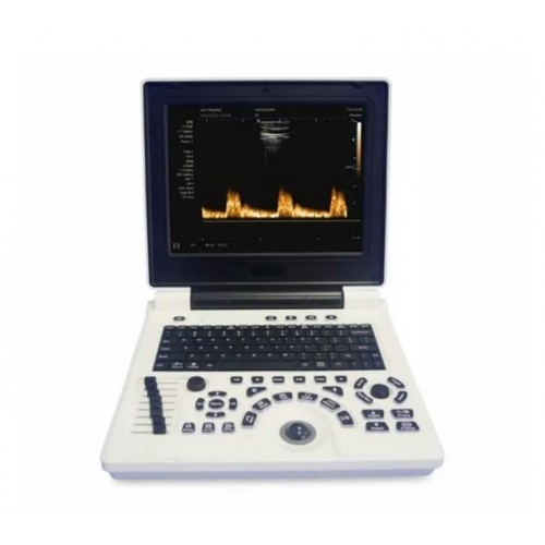 The Dolphi S2 black-and-white ultrasound diagnostic system includes a convex and vaginal sensor